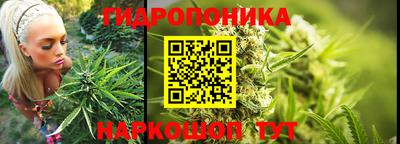 ПСИЛОЦИБИНОВЫЕ ГРИБЫ Кингисепп