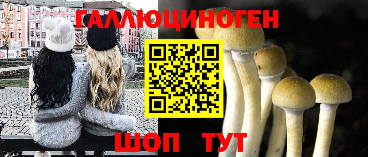 Галлюциногенные грибы Psilocybe  Вход с VPN  Псилоцибиновые грибы Psilocybine cubensis  Крымск 